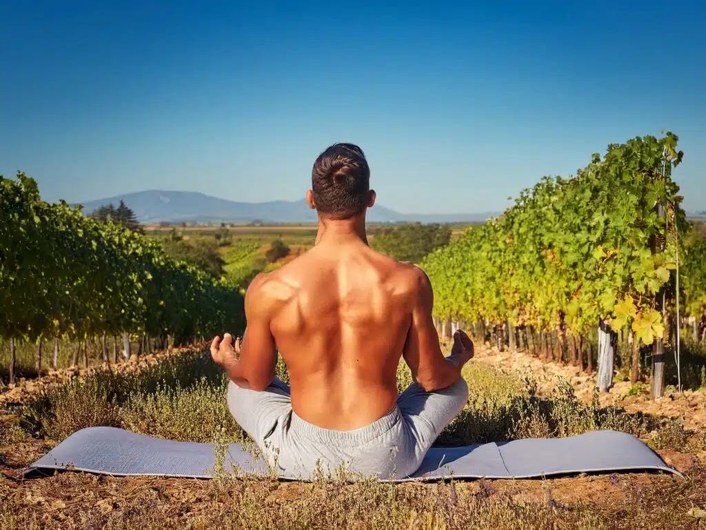 Ein Mann sitzt in einer Yoga Pose und schaut in den Weinberg